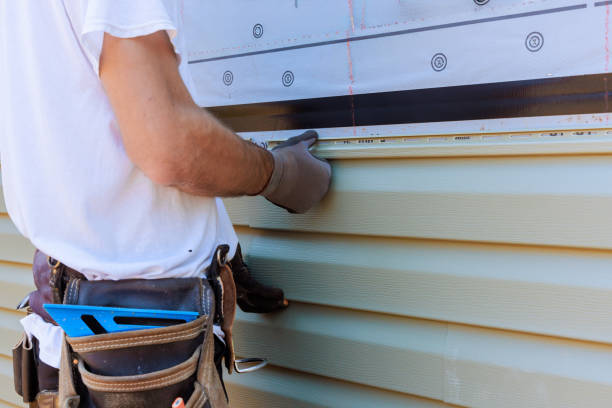Affordable Vinyl Siding solutions in Winfield, IL